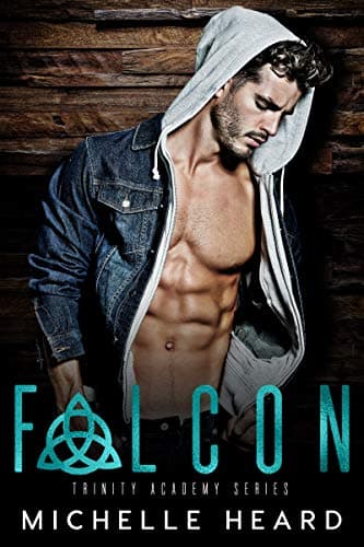 Falcon book cover
