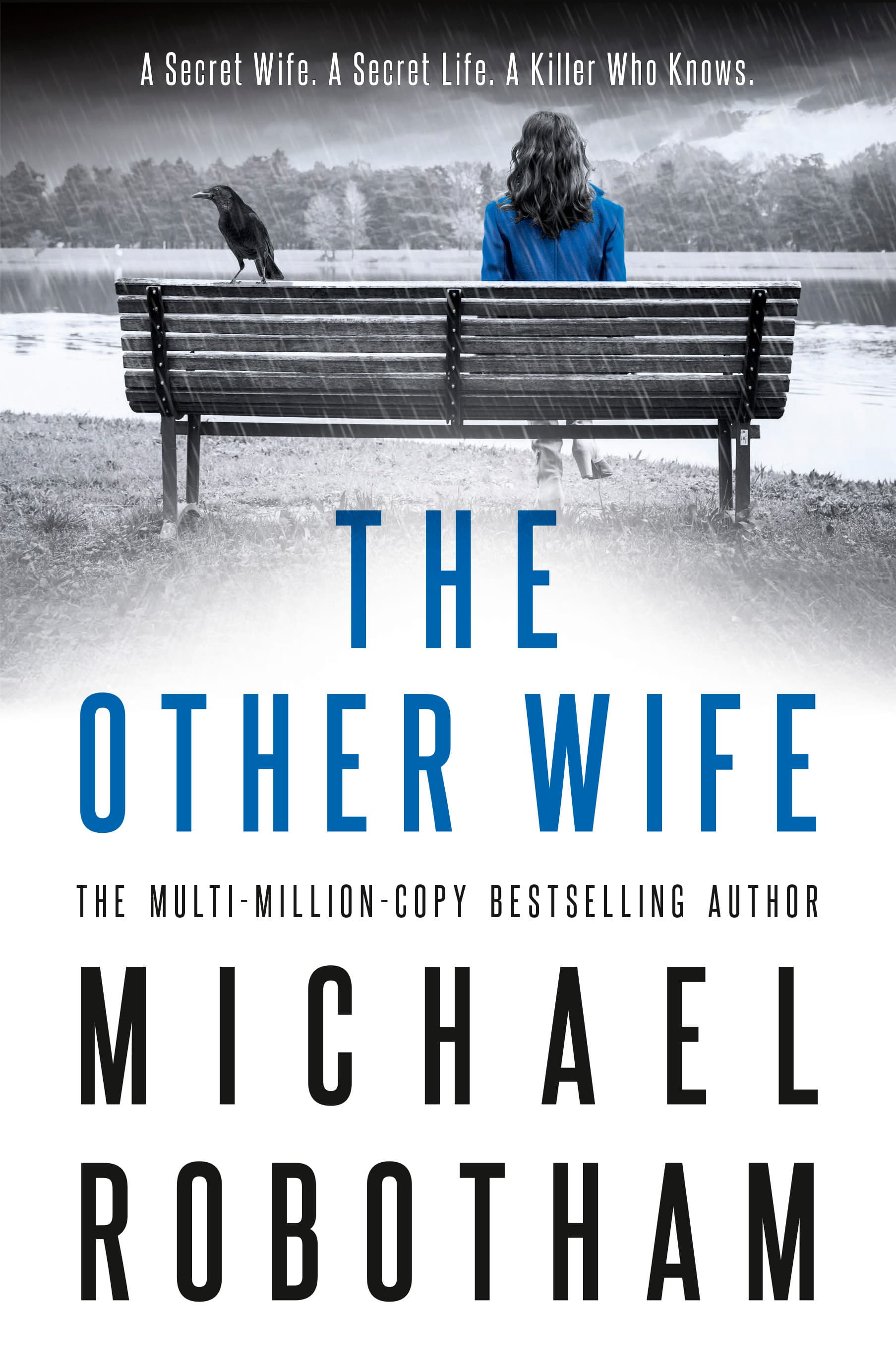 The Other Wife book cover