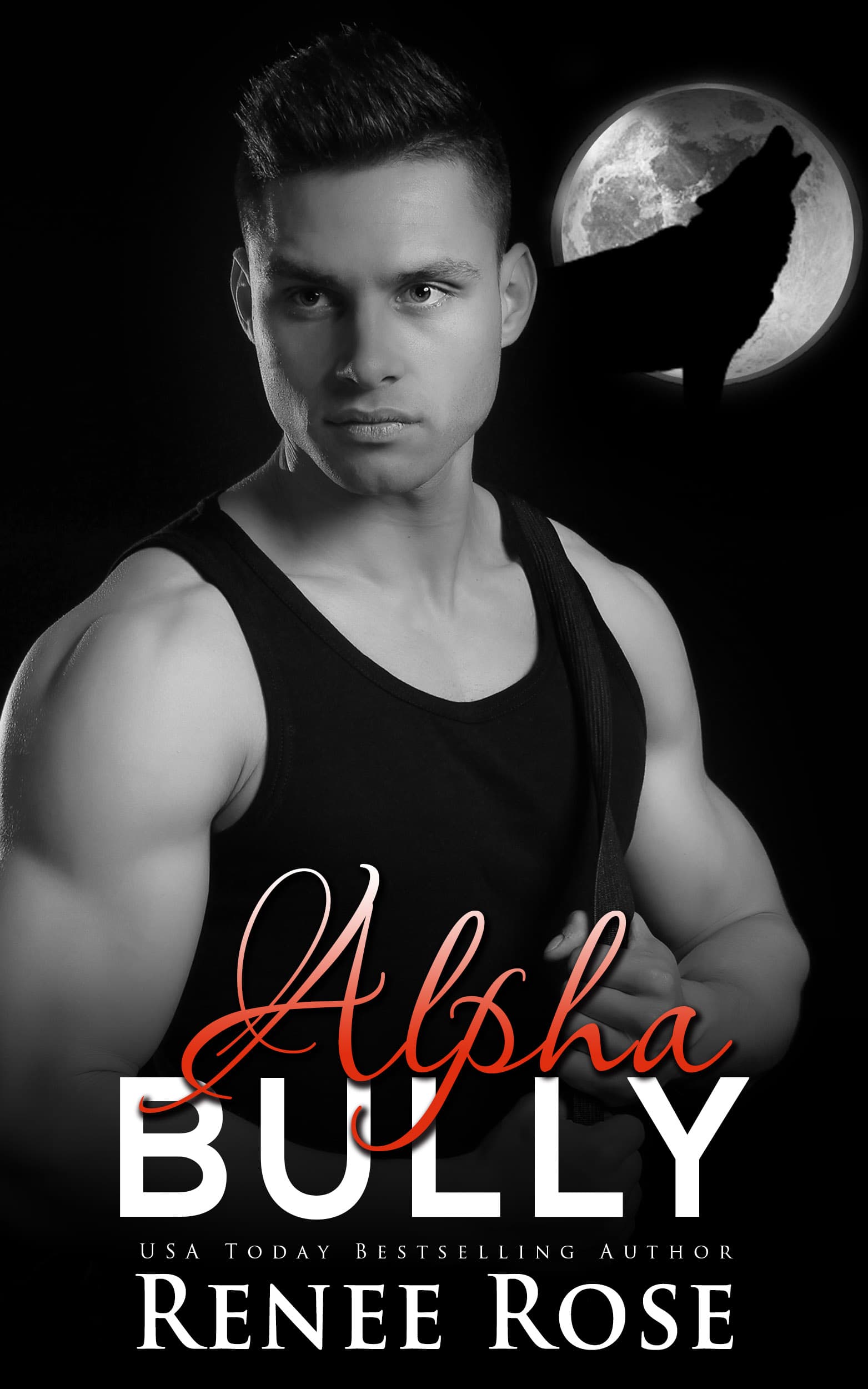 Alpha Bully book cover