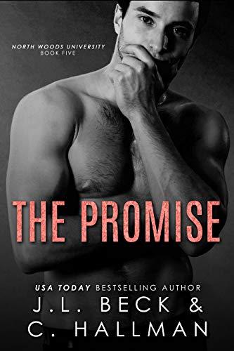 The Promise book cover