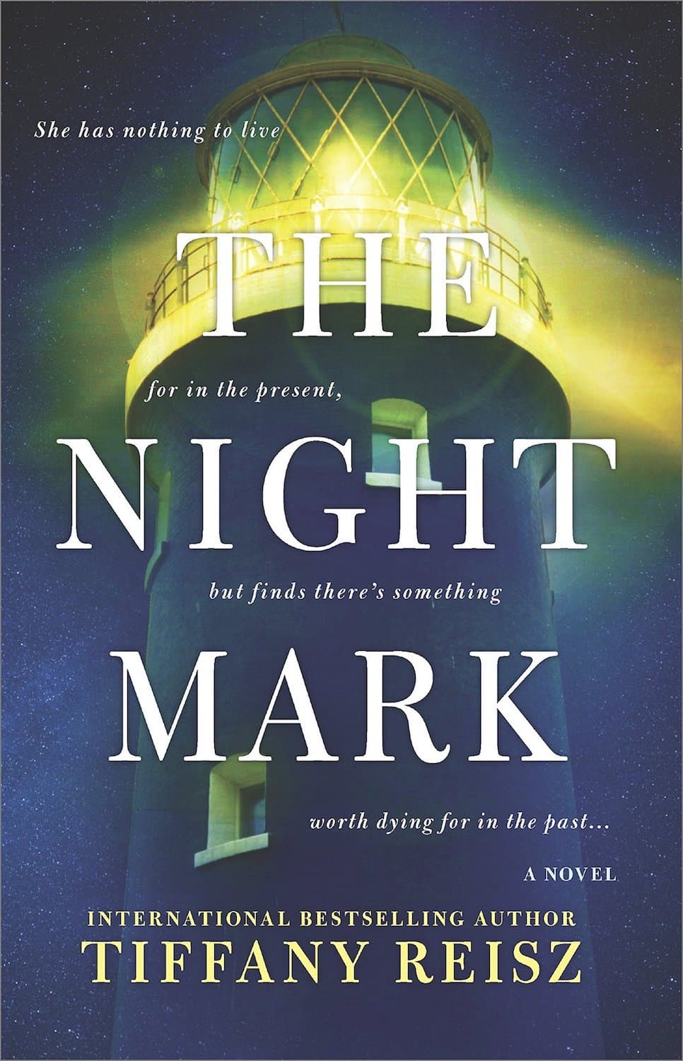 The Night Mark book cover
