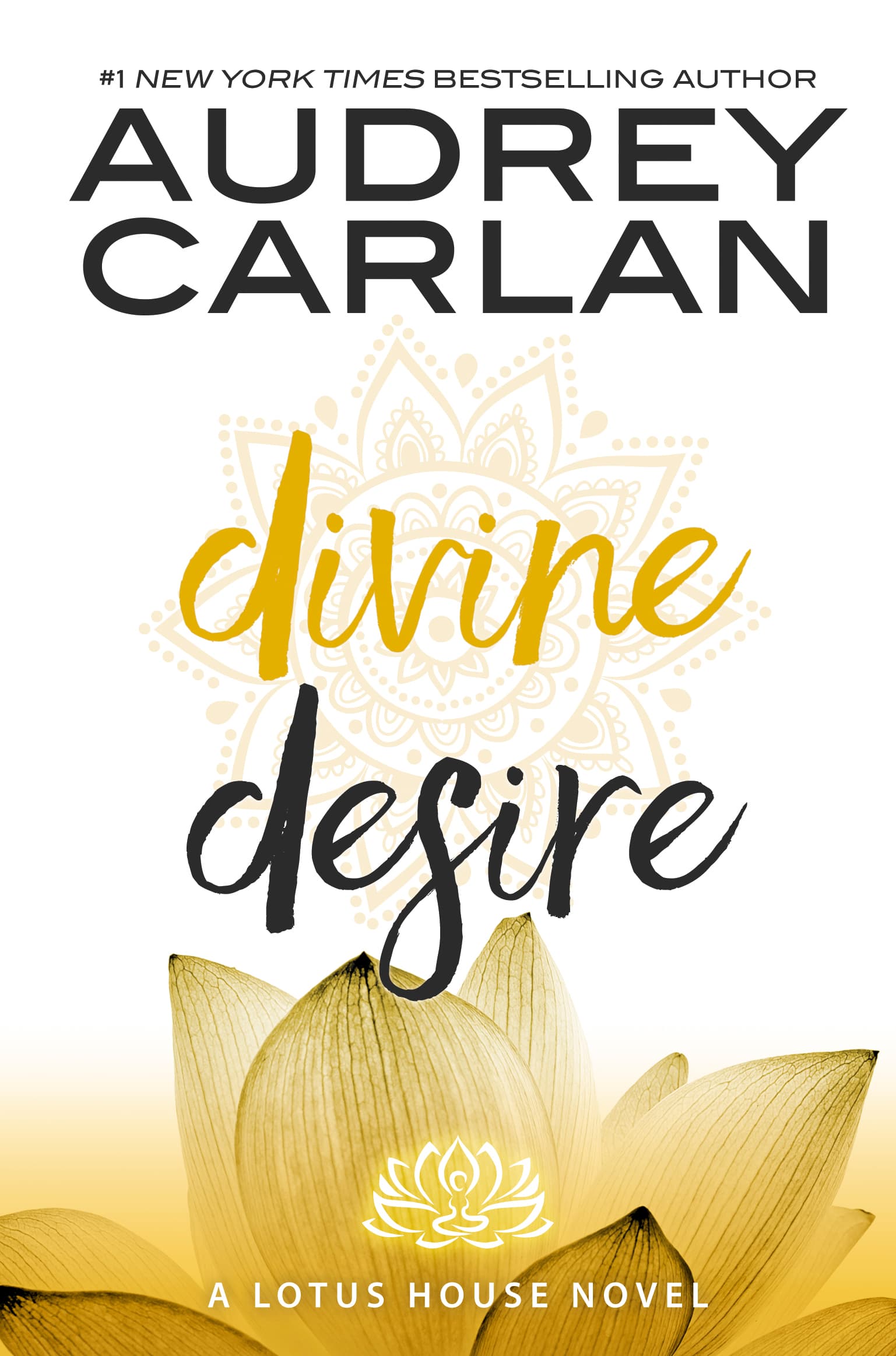 Divine Desire book cover