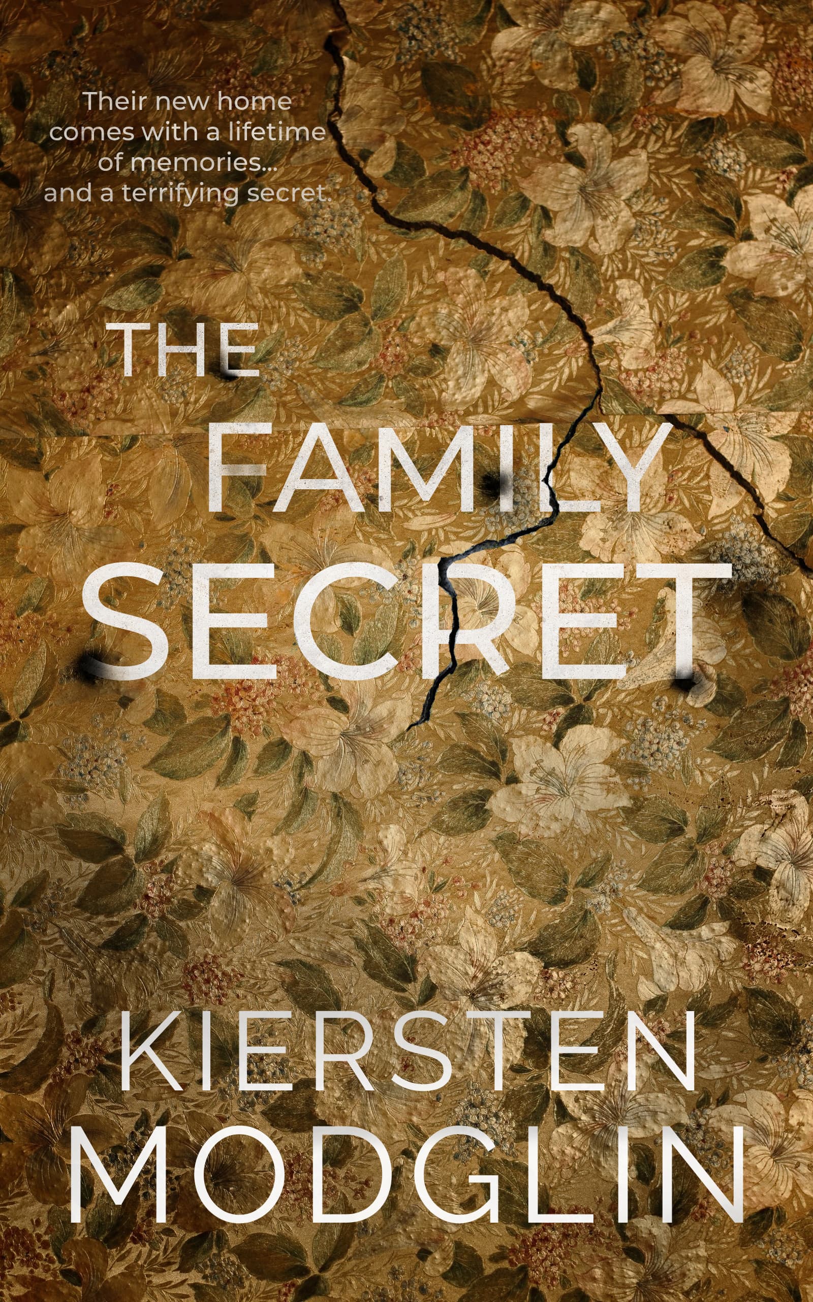 The Family Secret book cover