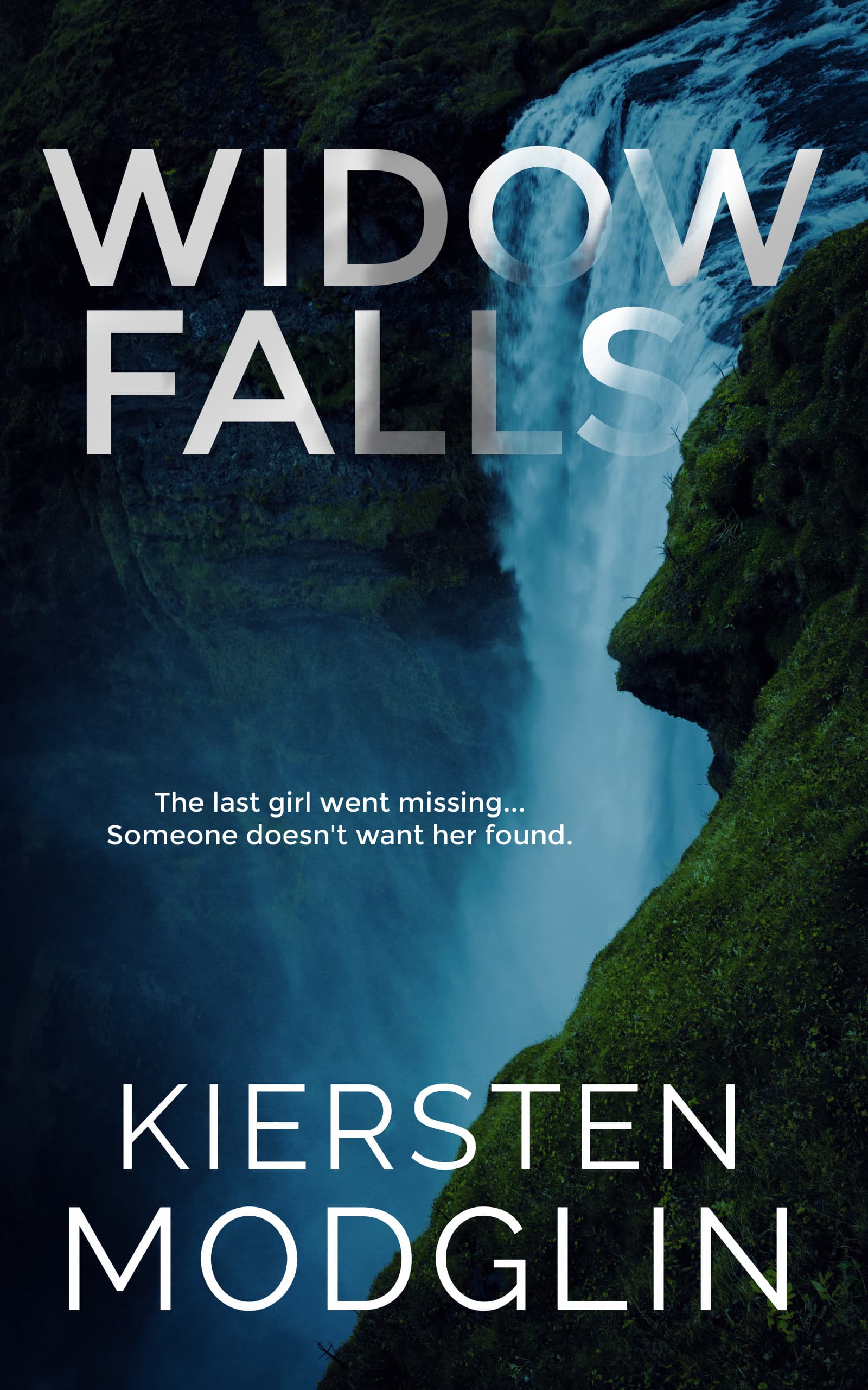 Widow Falls book cover
