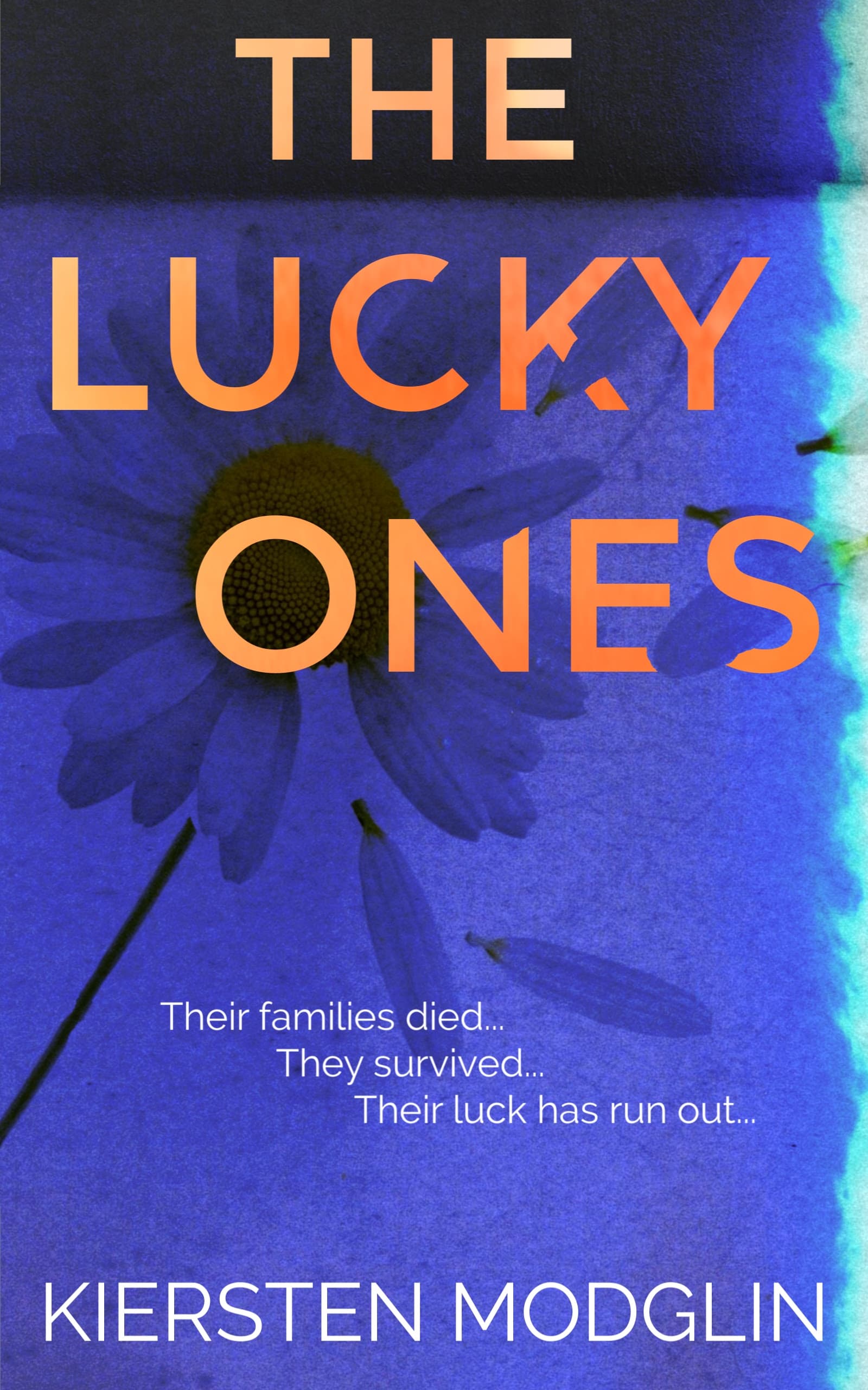 The Lucky Ones book cover
