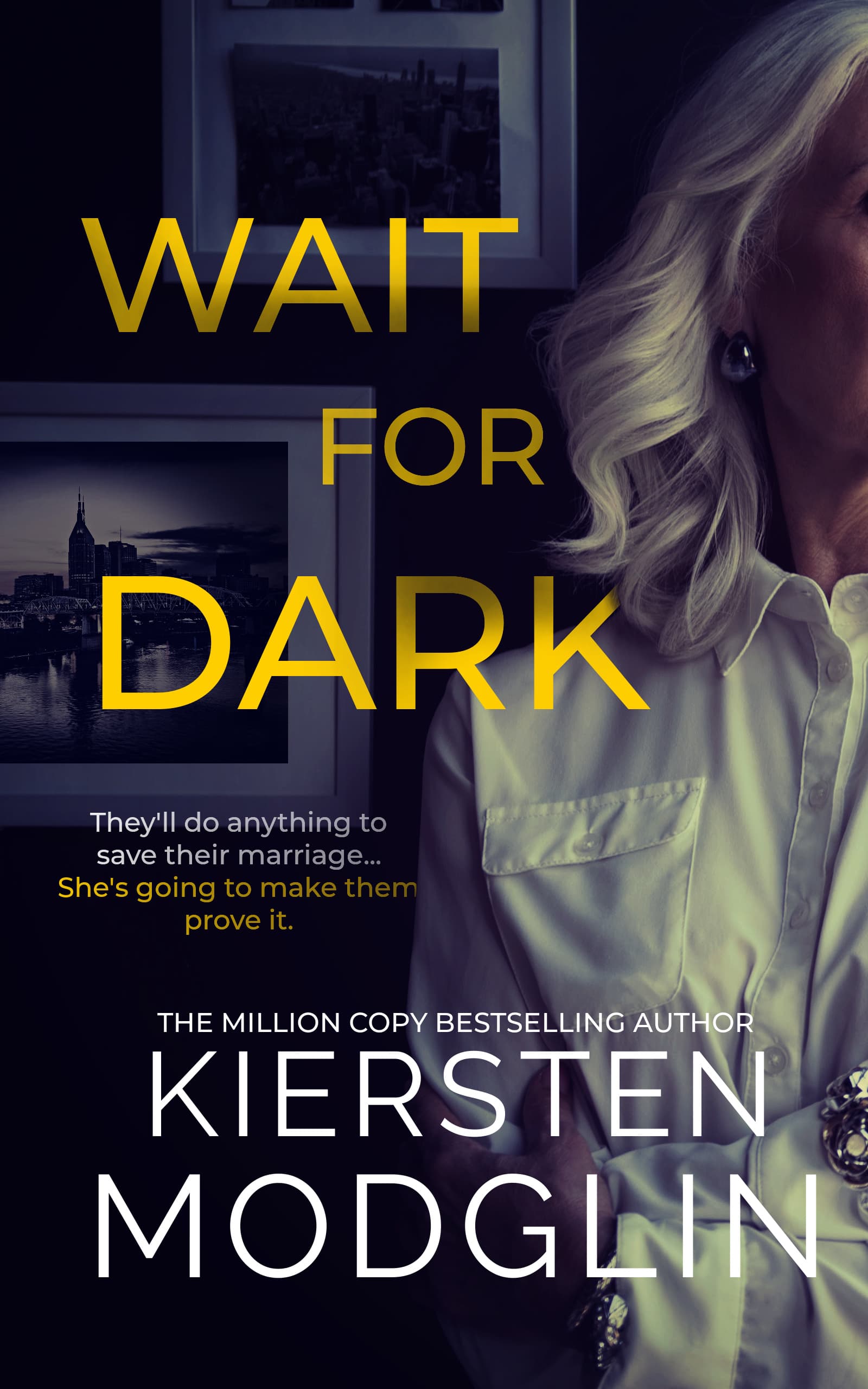 Wait for Dark book cover