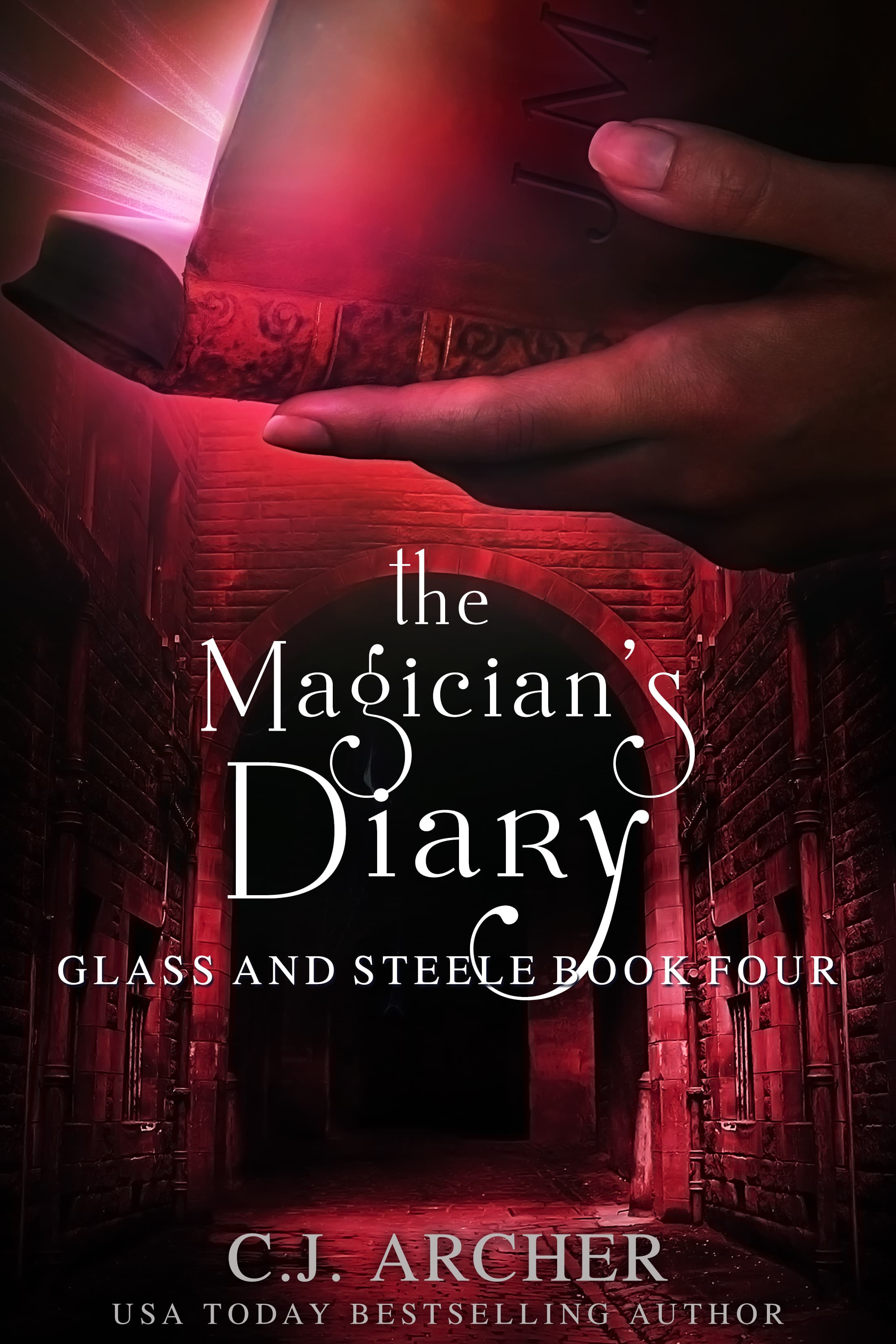 The Magician's Diary book cover