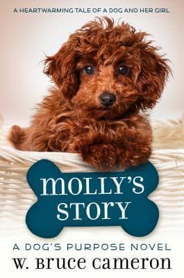 Molly's Story book cover