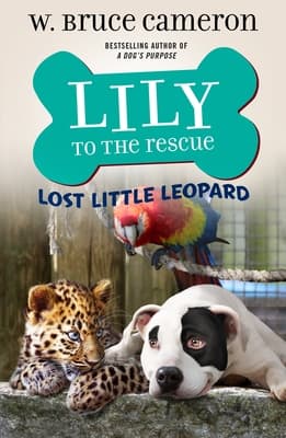 Lost Little Leopard book cover