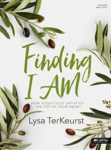 Finding I AM: How Jesus Fully Satisfies the Cry of Your Heart book cover