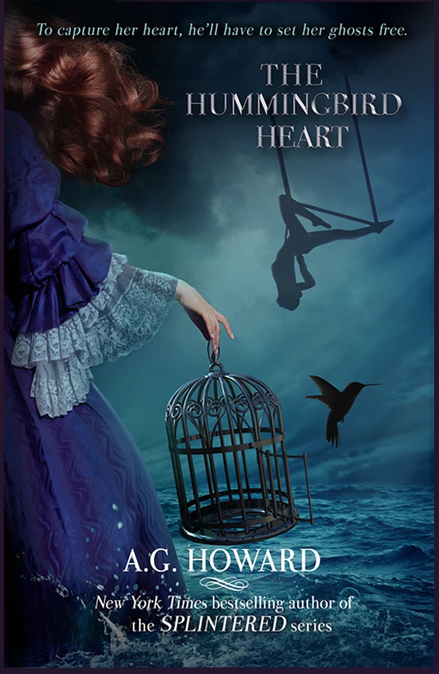 The Hummingbird Heart book cover