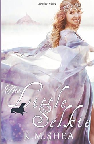 The Little Selkie book cover