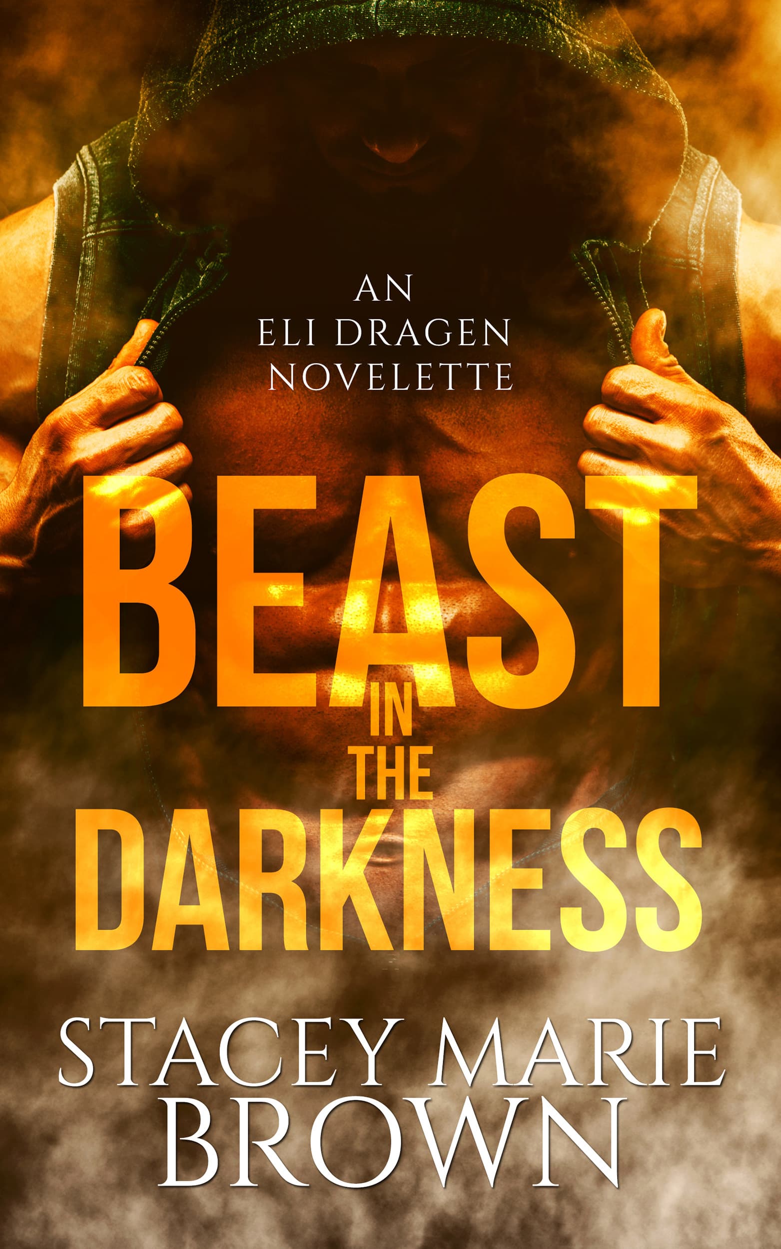 Beast in the Darkness book cover