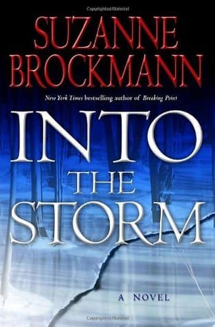Into the Storm book cover