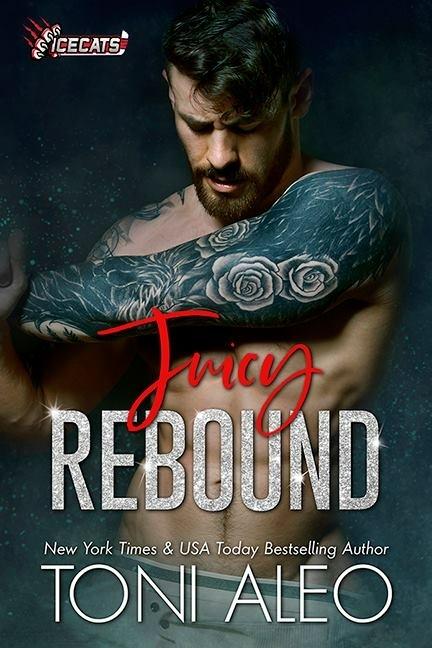 Juicy Rebound book cover