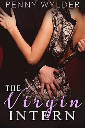 The Virgin Intern book cover