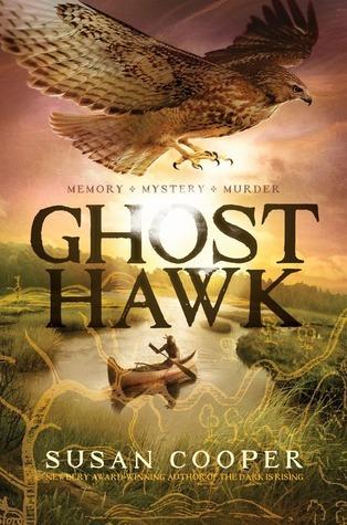 Ghost Hawk book cover