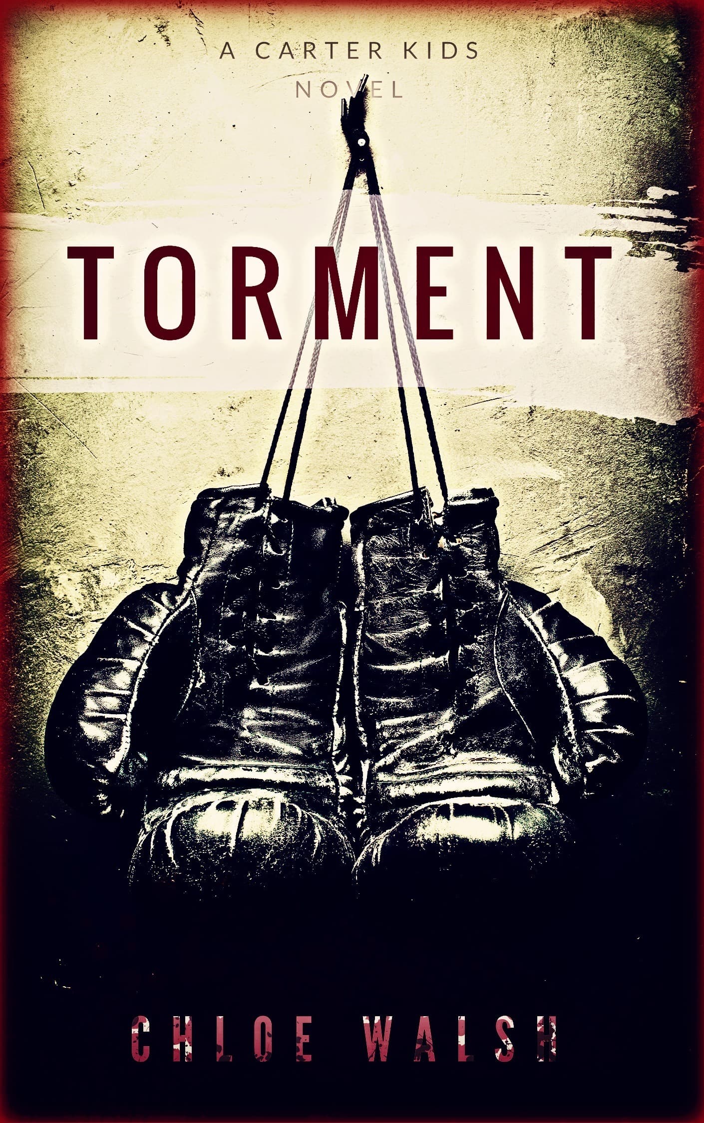 Torment book cover