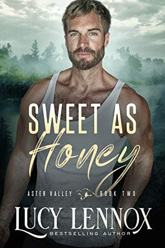 Series Book Cover Preview