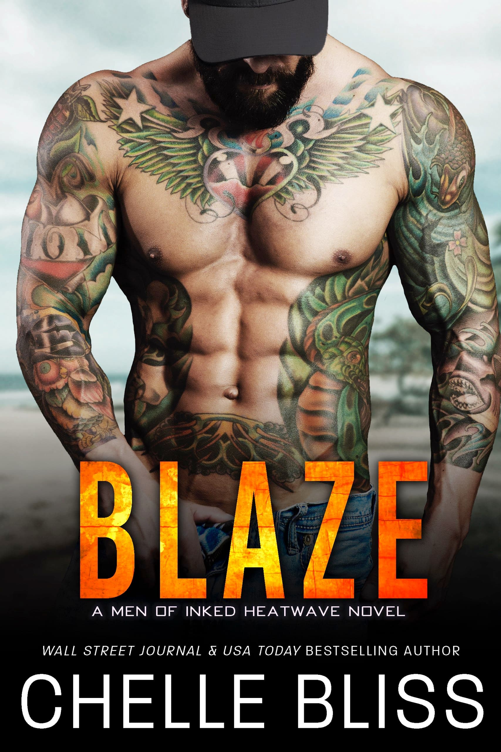 Blaze book cover