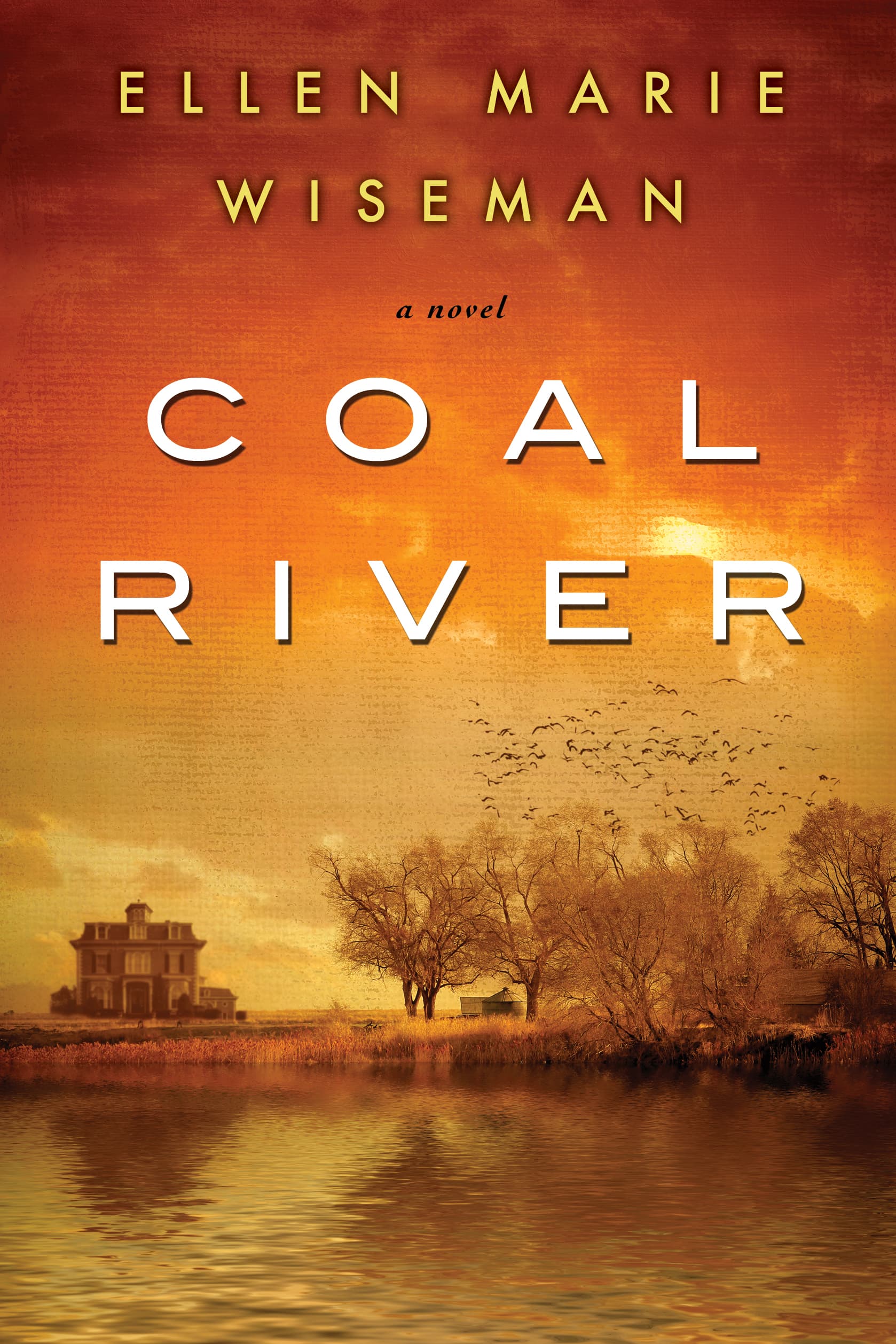 Coal River book cover