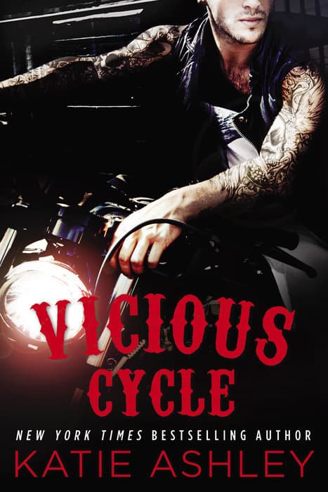 Vicious Cycle book cover