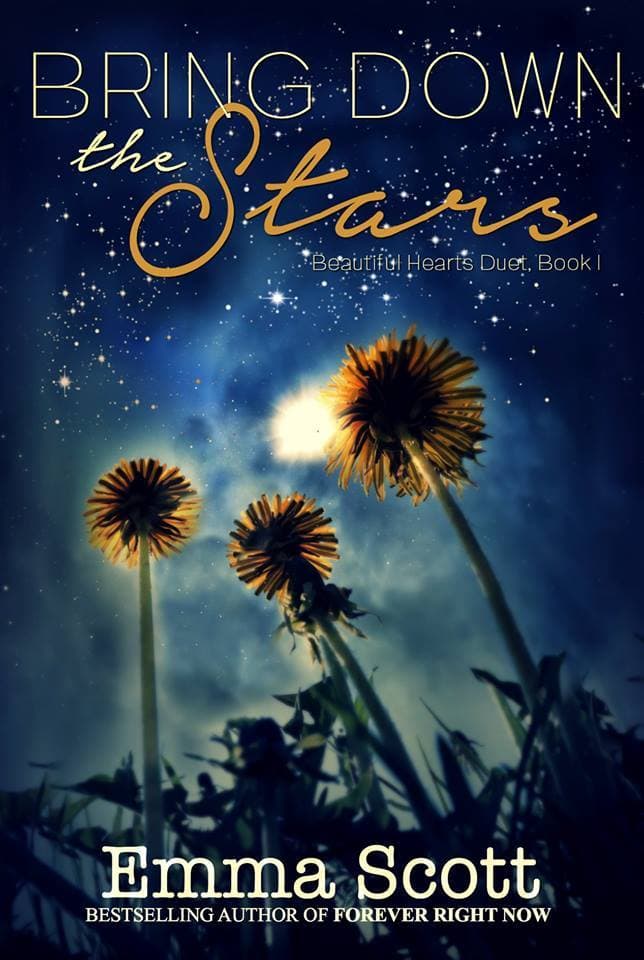 Bring Down the Stars book cover