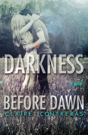 Darkness Before Dawn book cover