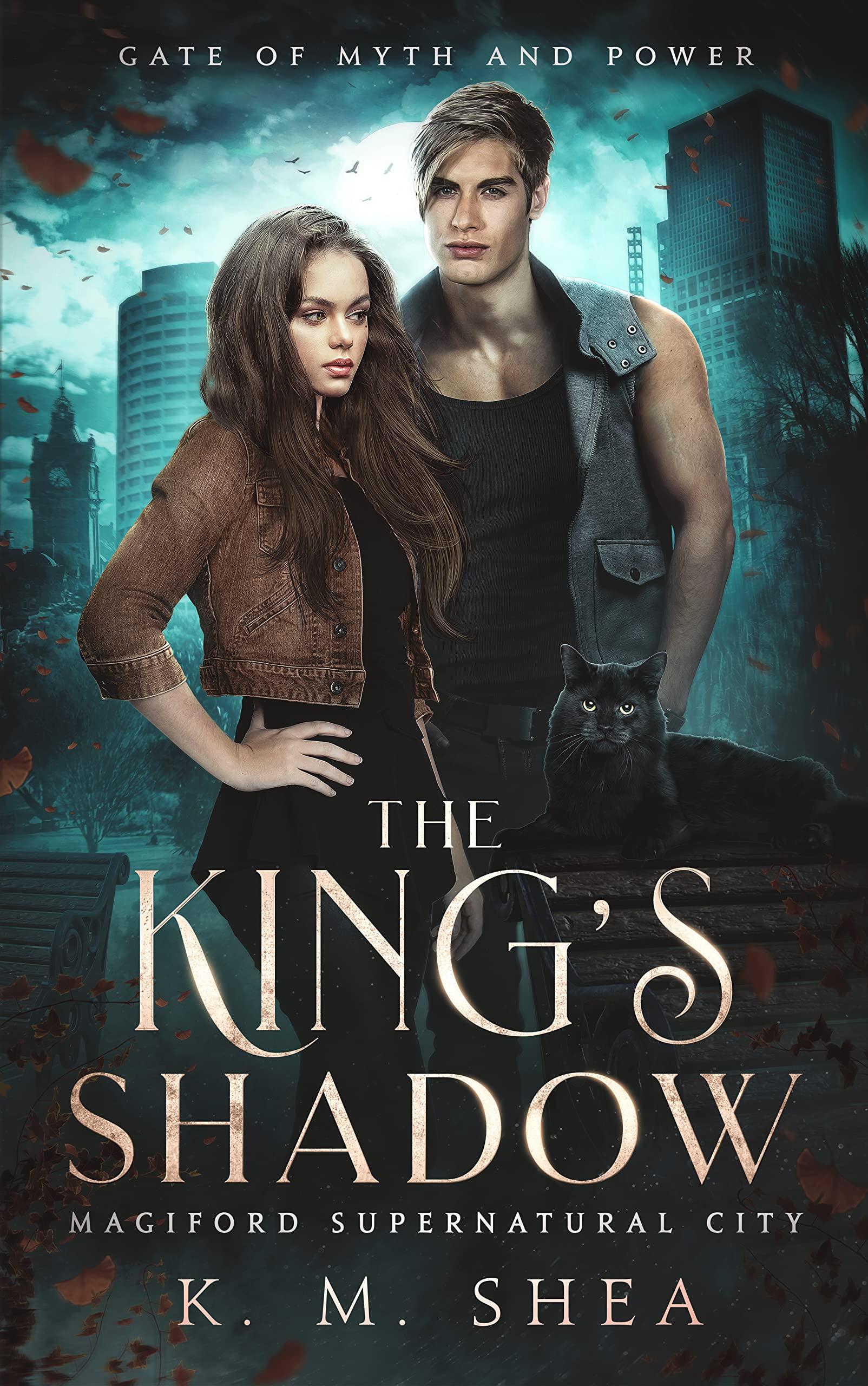 The King's Shadow book cover