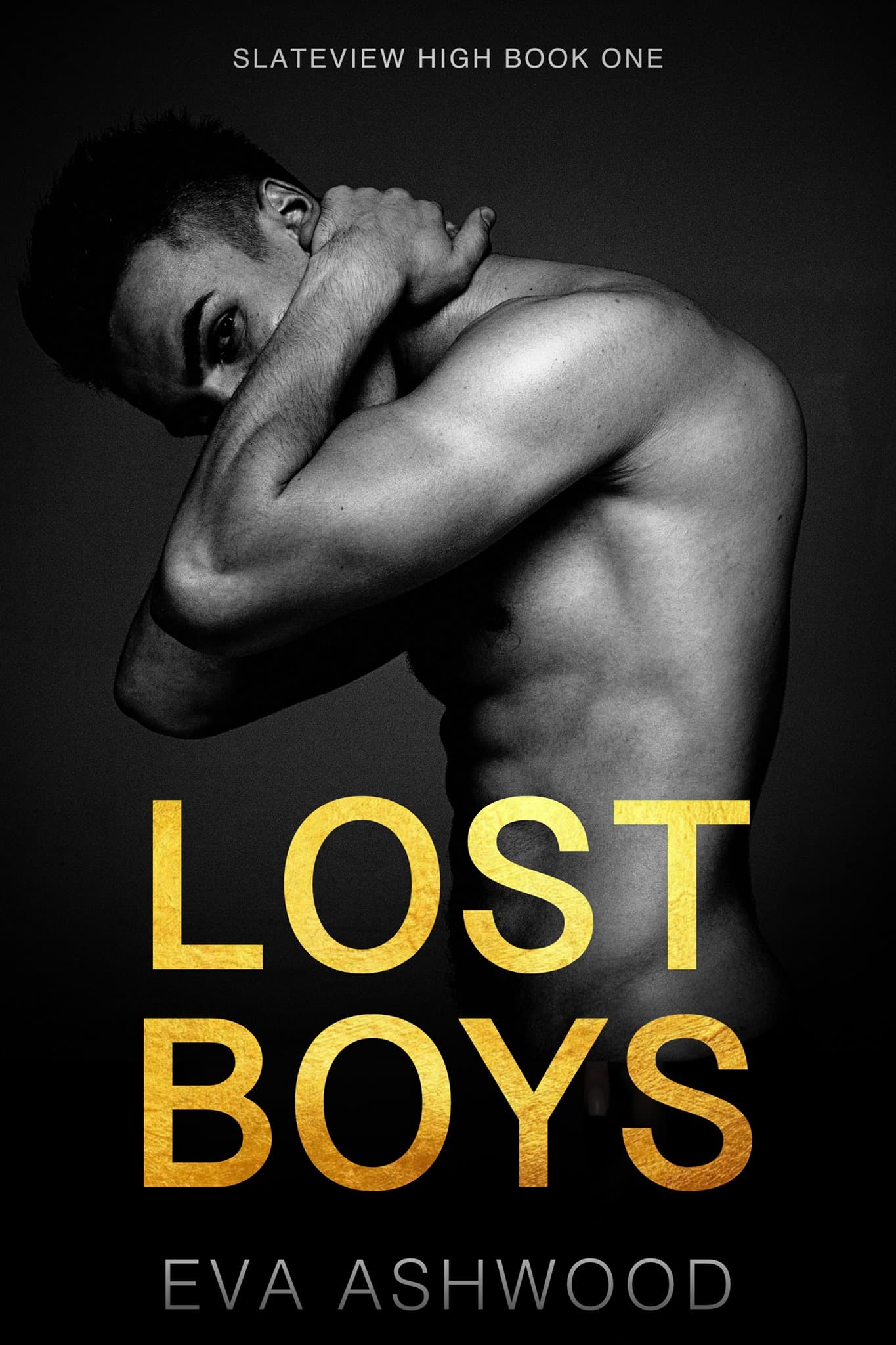 Lost Boys book cover