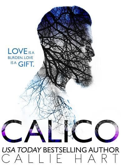 Calico book cover