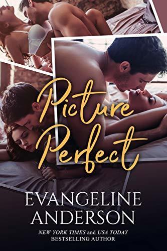 Picture Perfect book cover