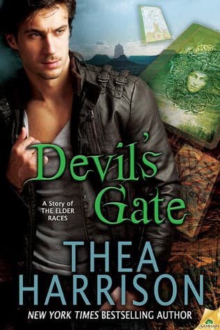 Devil's Gate book cover