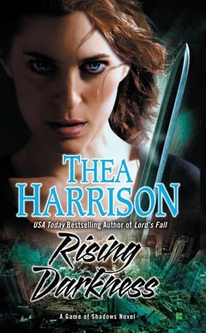 Rising Darkness book cover