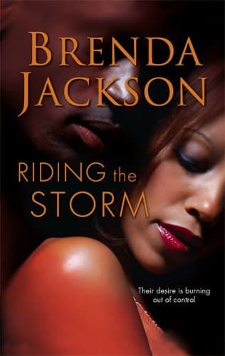 Riding the Storm book cover