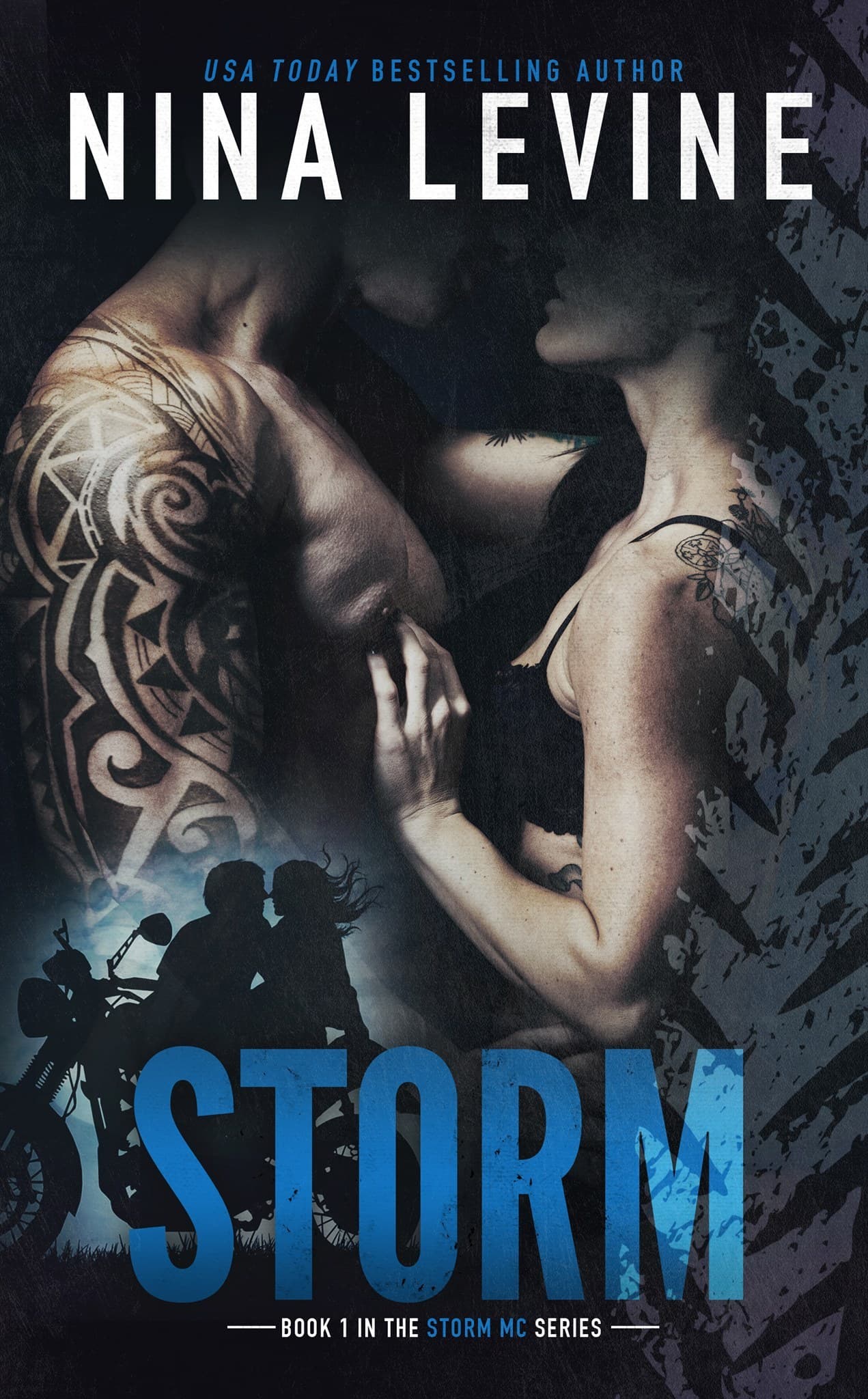 Storm book cover