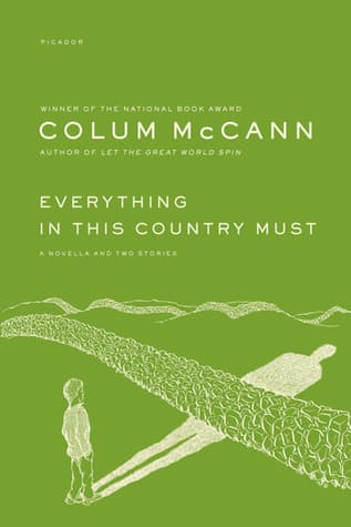 Everything in This Country Must book cover