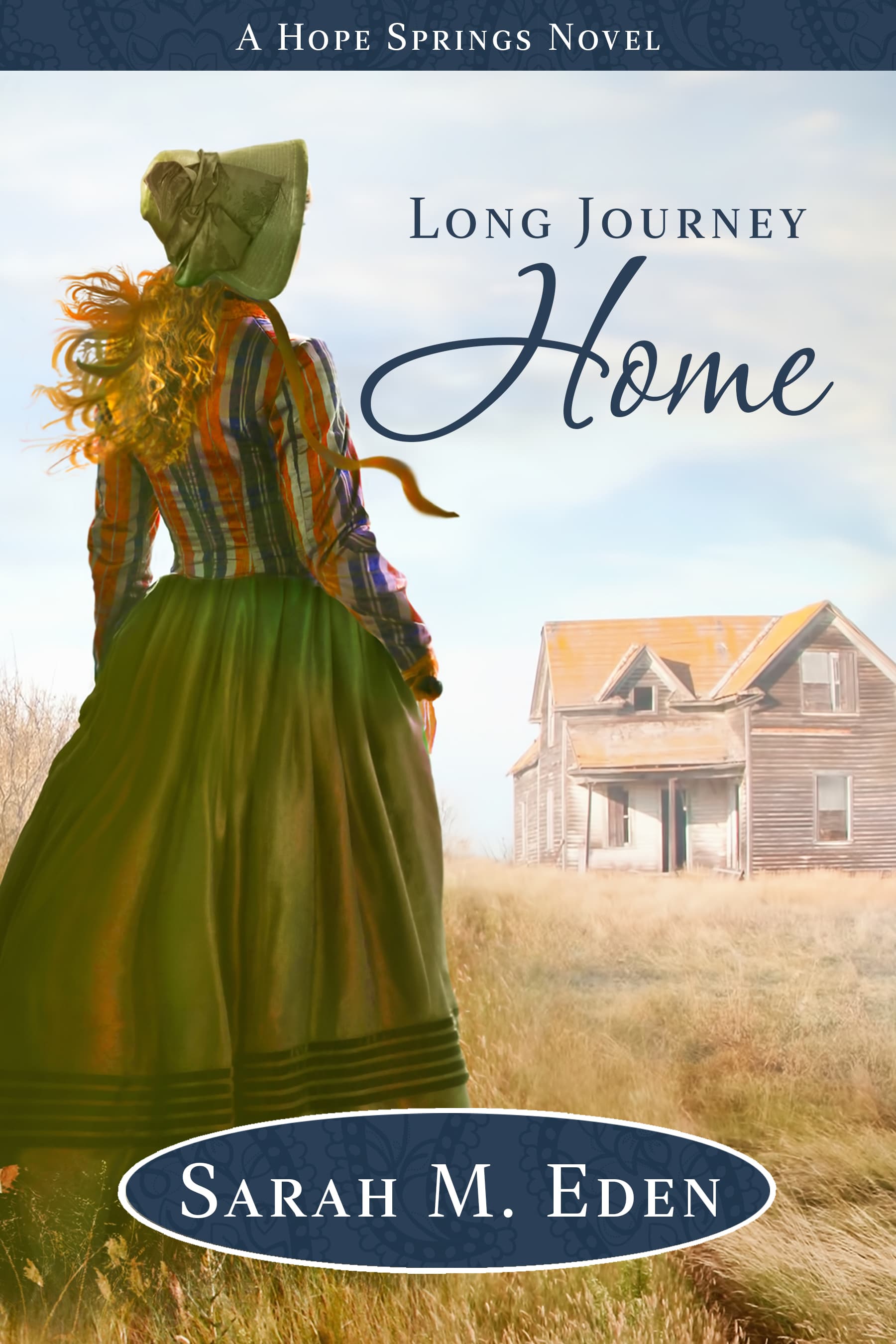 Long Journey Home book cover