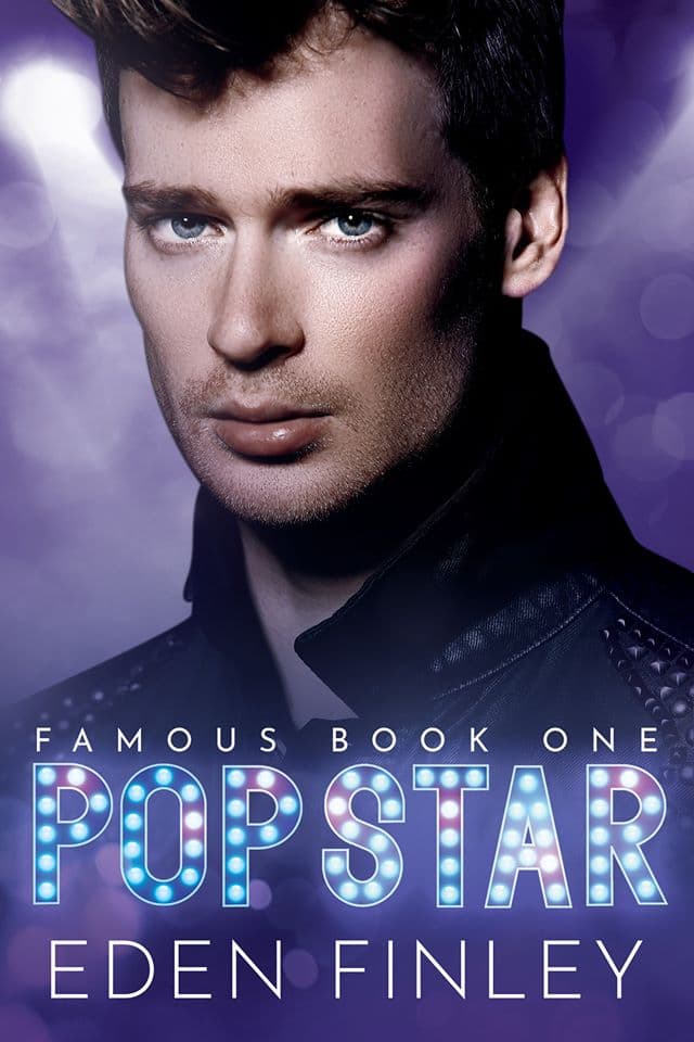 Pop Star book cover