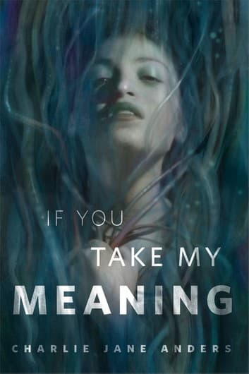 If You Take My Meaning book cover