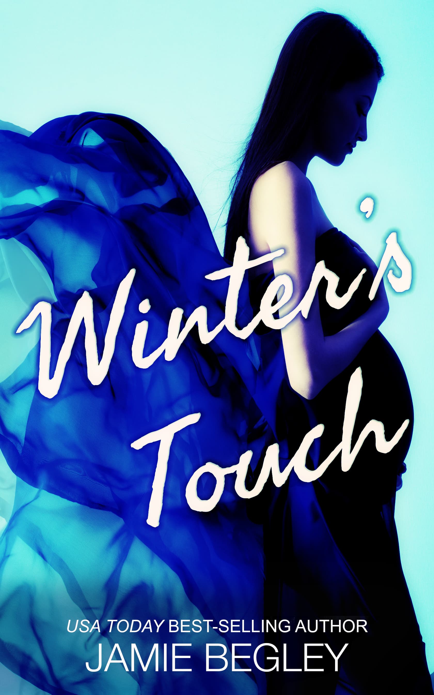 Winter's Touch book cover