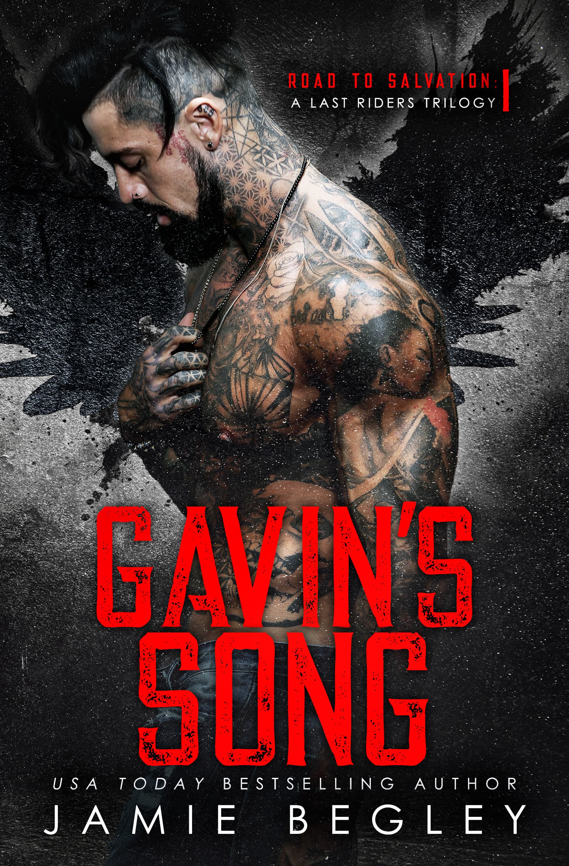 Gavin's Song book cover