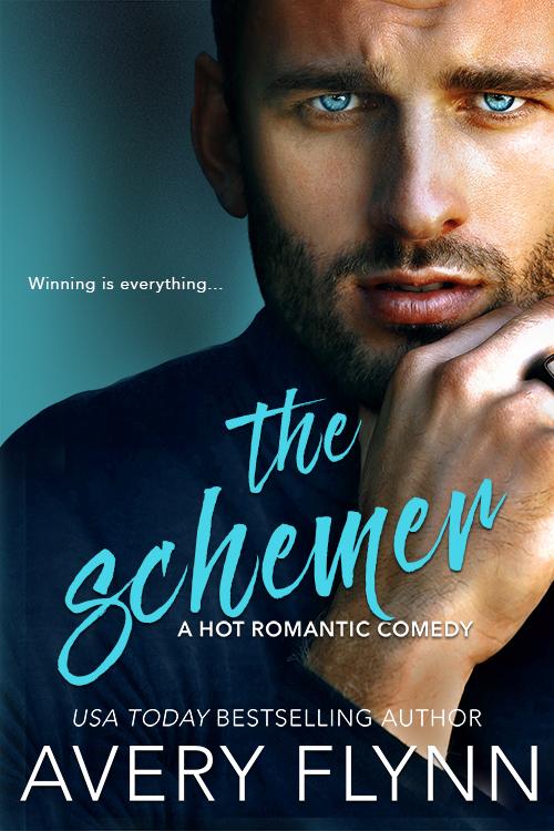 The Schemer book cover