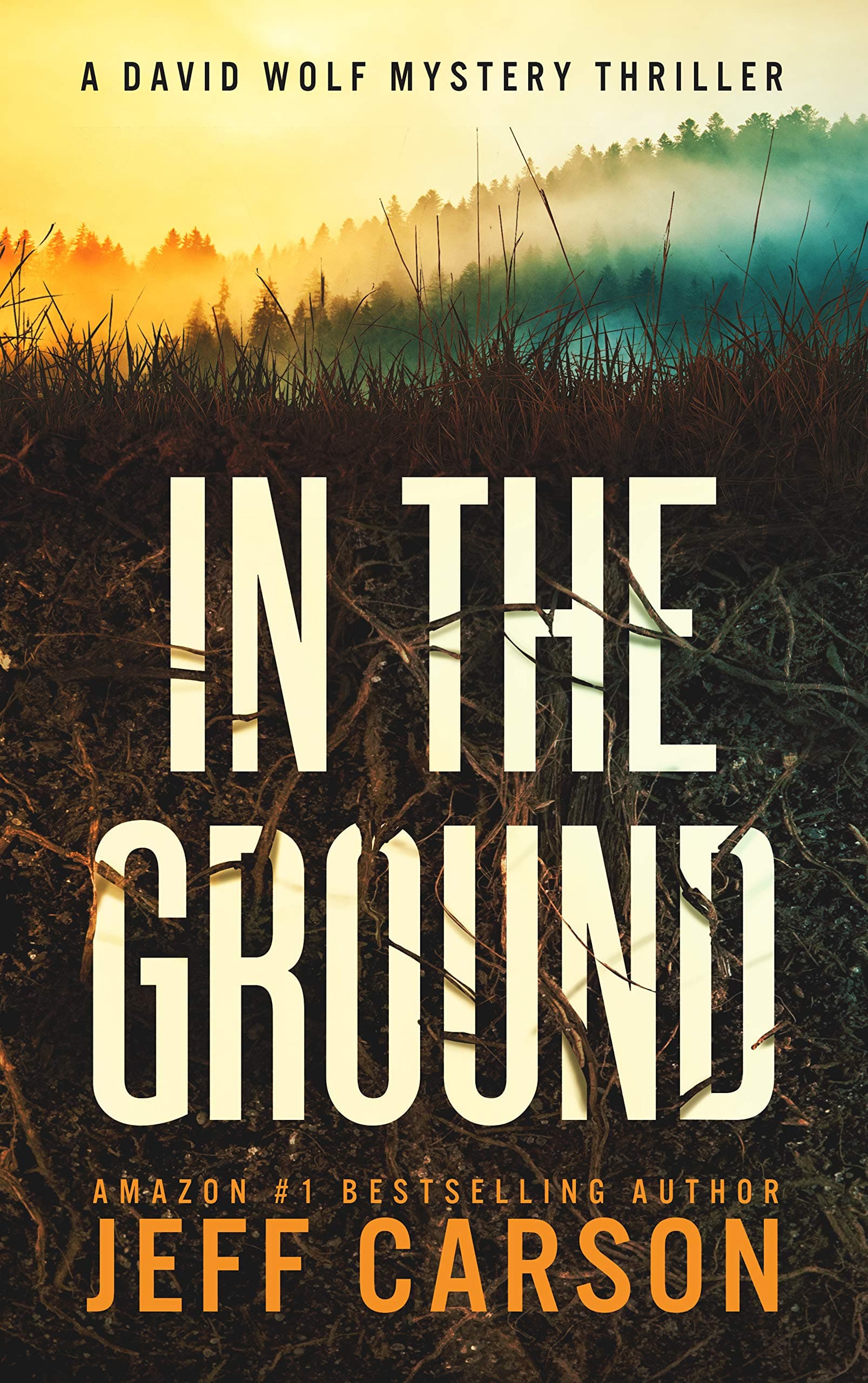 In the Ground book cover