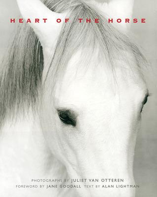 Heart of the Horse book cover