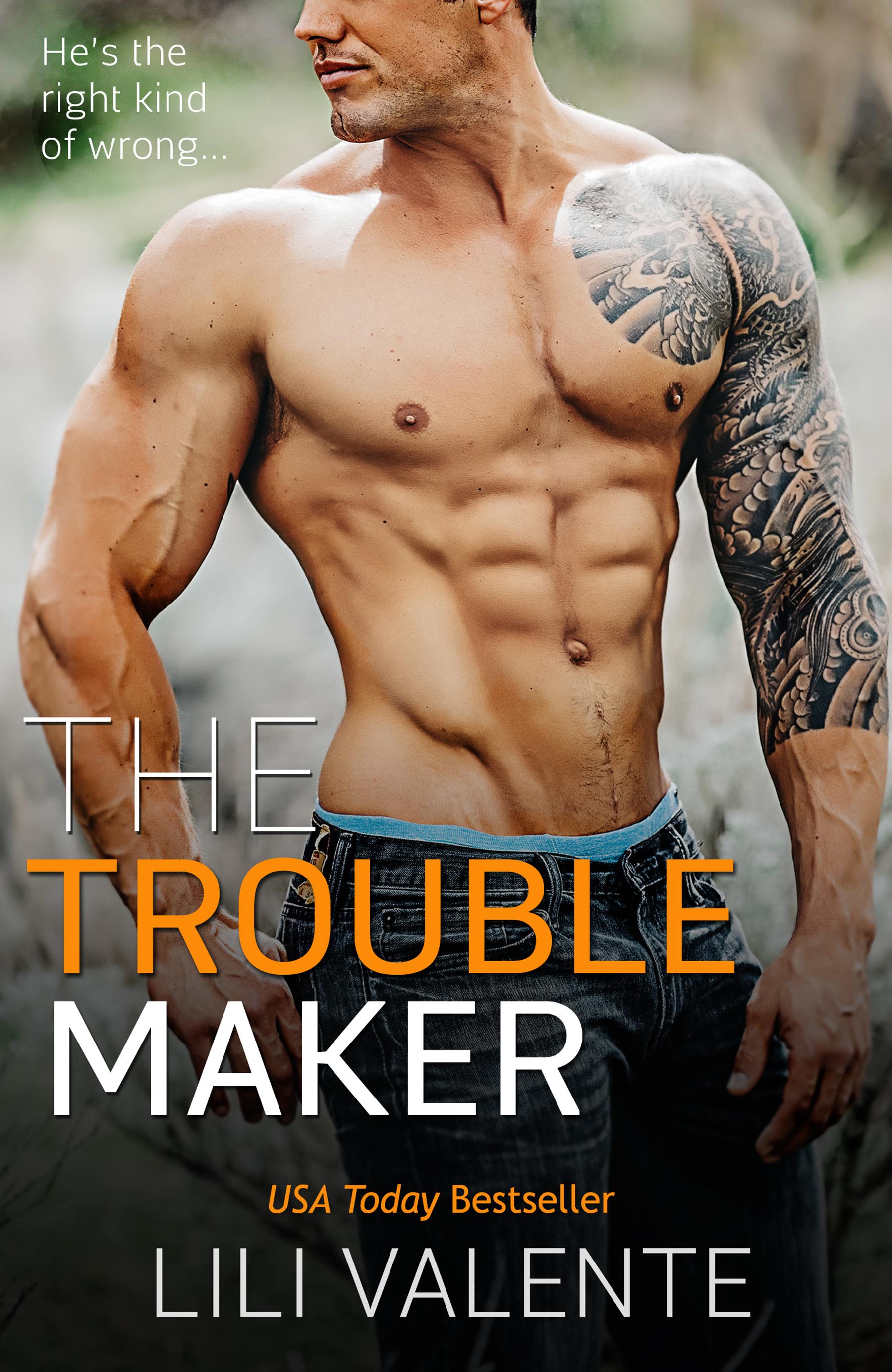 The Troublemaker book cover