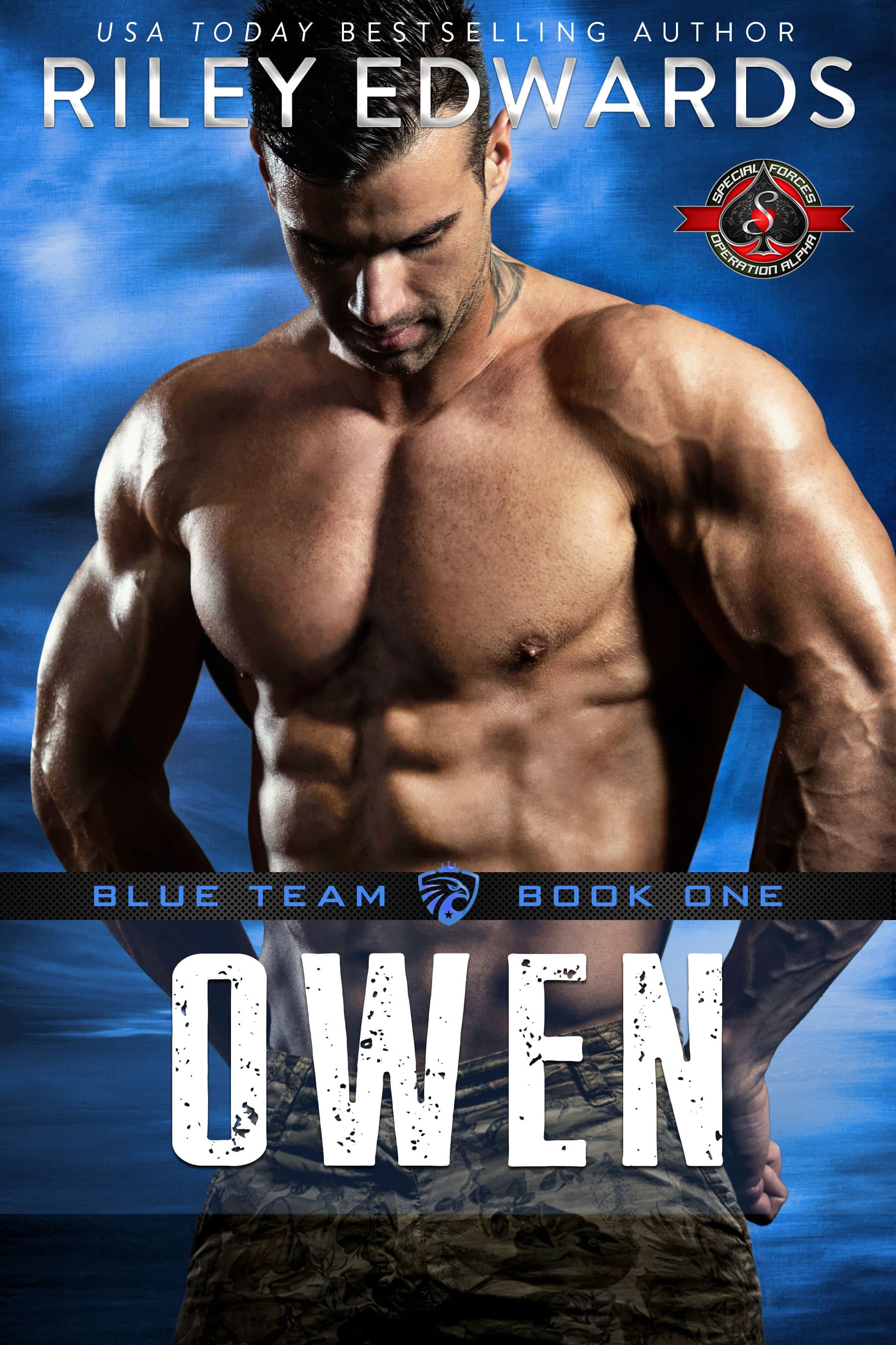 Owen book cover