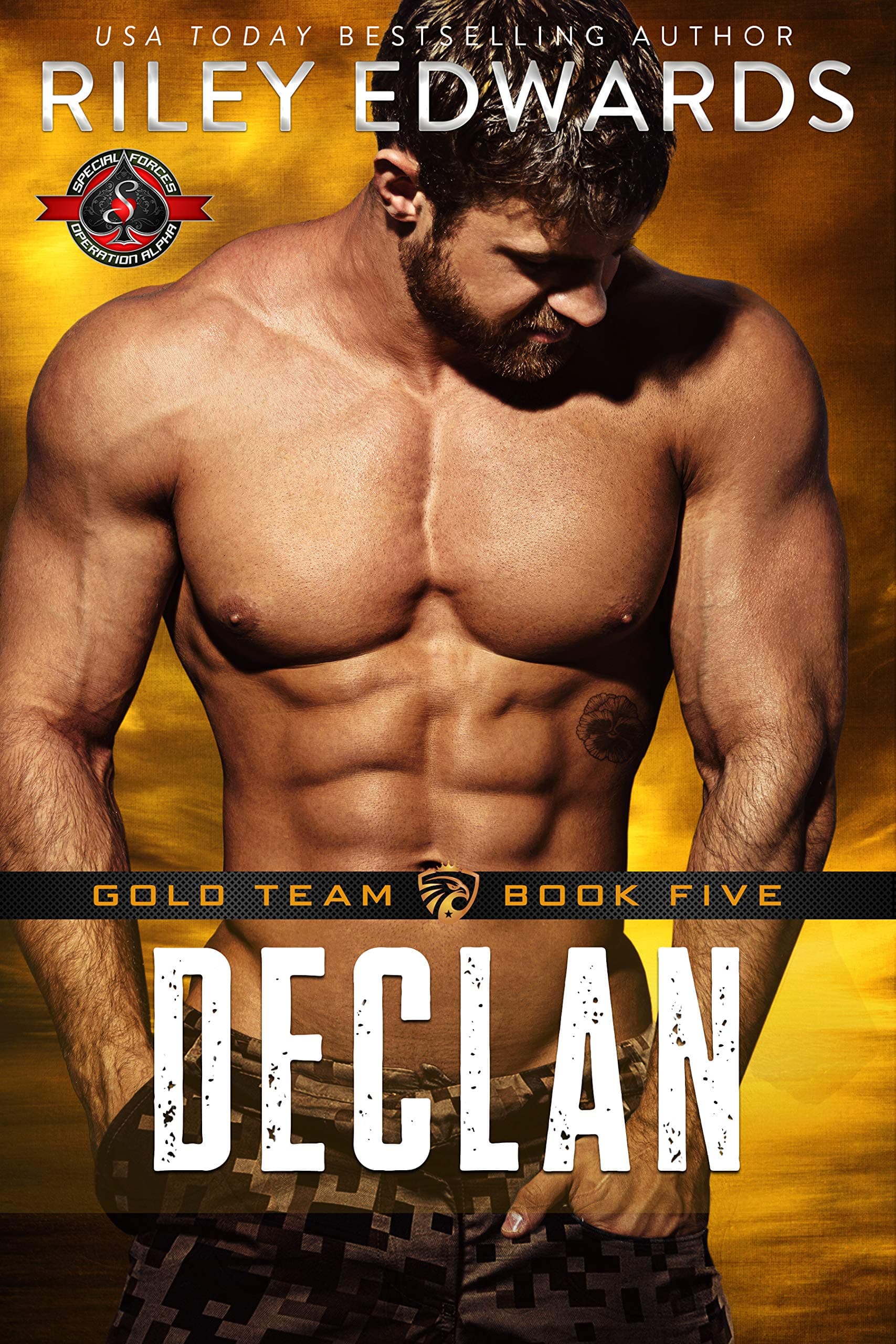 Declan book cover