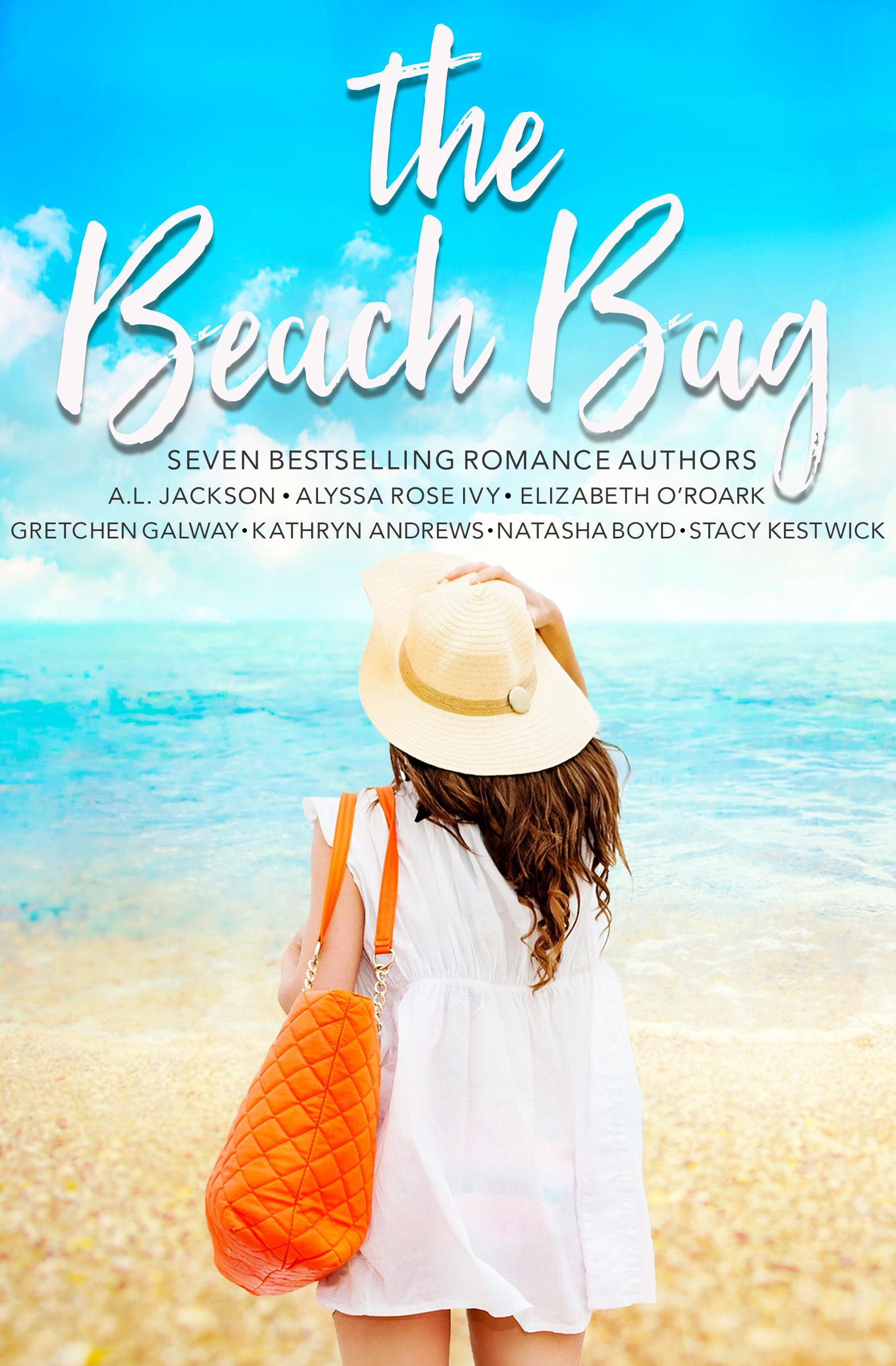 The Beach Bag Boxed Set book cover