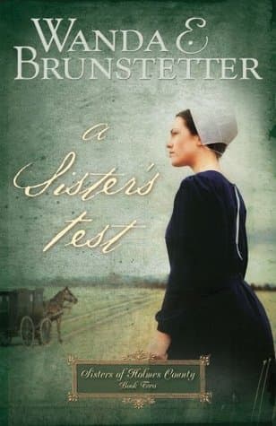 A Sister's Test book cover